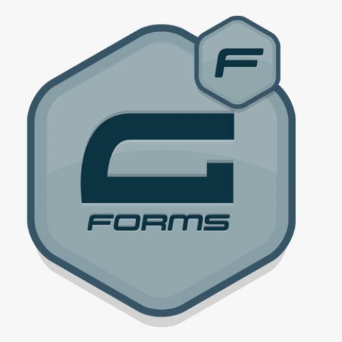 gravityforms-review